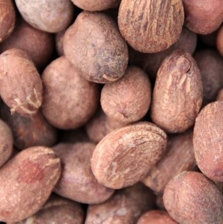 Shea Nut from Ghana supplied by Sommalife - Shea Nut