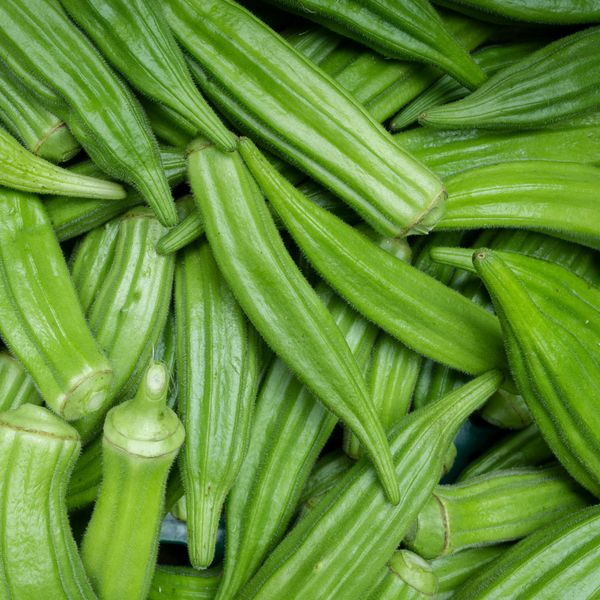 Okra from 인도 supplied by Liberty Exports - Indian Okra 신선 오크라