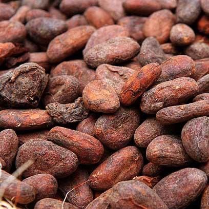 Cocoa Beans from Nigeria supplied by Fitzeron International Limited - Cocoa Bean
