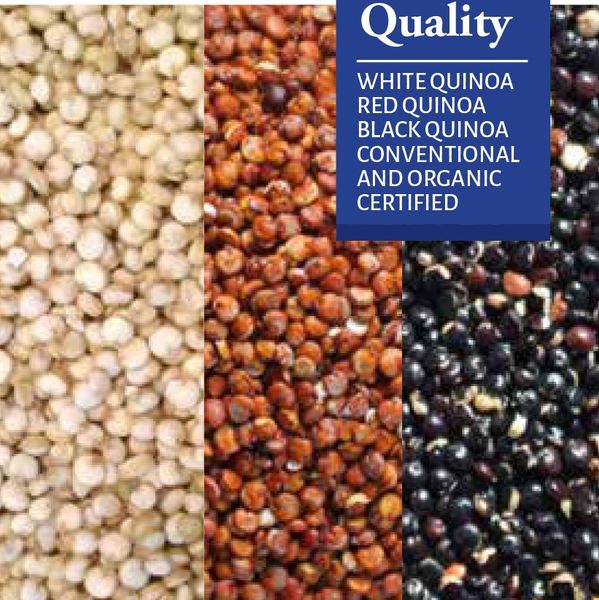 Quinoa from 페루 supplied by QUELLE TRADE, import export d.o.o - 퀴노아