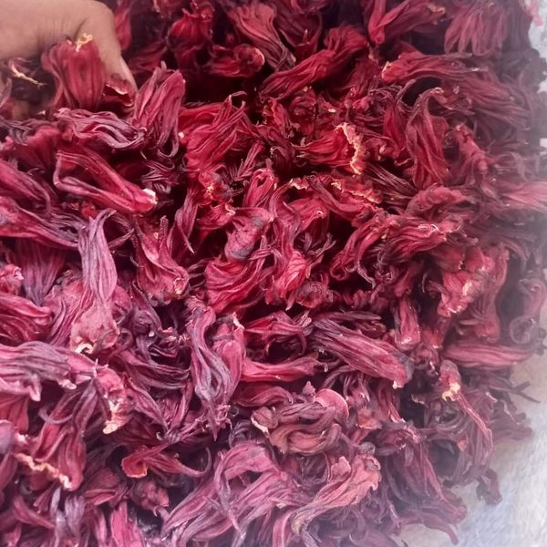 Dried Hibiscus Flowers from 나이지리아 supplied by VERTEKS MVE NIG LTD - 로젤(=Gongura=Hibiscus Sabdariffa) 히비스커스