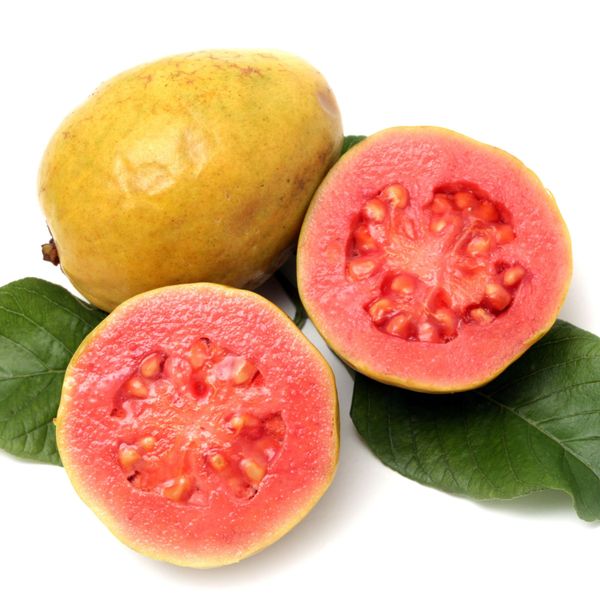 GUAVA from 튀르키예 supplied by Capadore - Natural 신선 구아바
