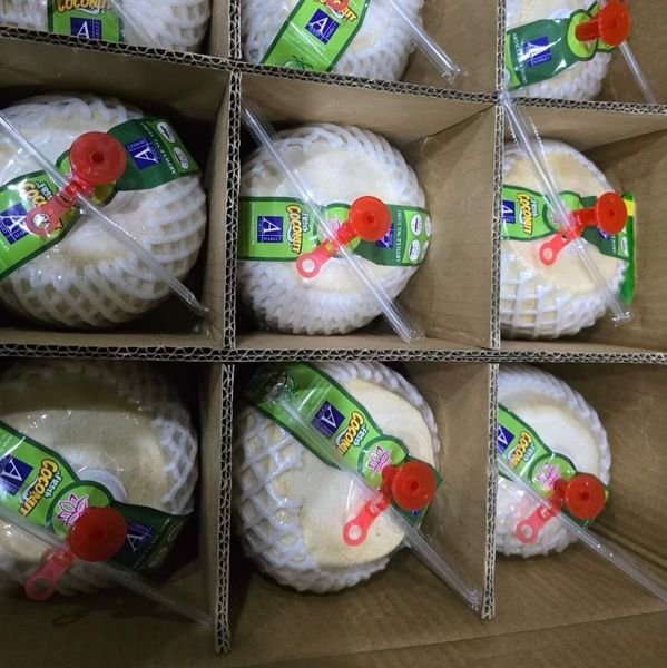 Fresh Coconut from 베트남 supplied by TTB Import Export Co.,Ltd - 기타 신선 코코넛