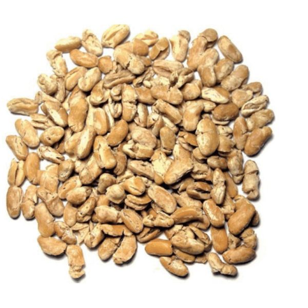 WHITE KIDNEY BEANS from 이탈리아 supplied by Legumina SRL - 1등급 기타 말린 과일