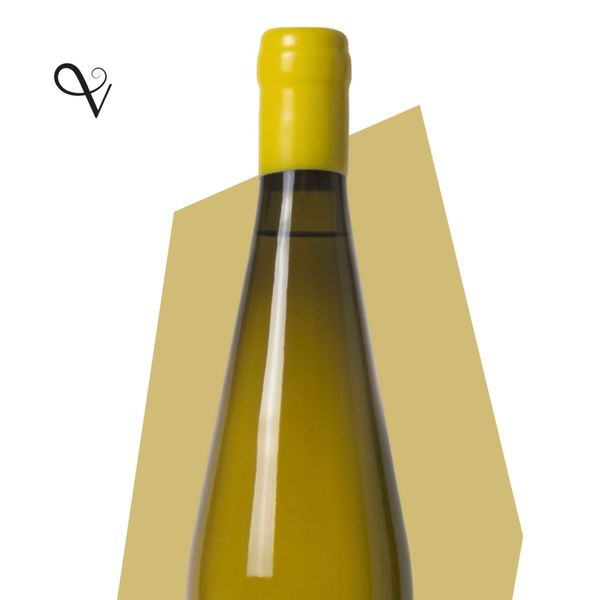 Divento 2022 from 이탈리아 supplied by Vigneti Vinessa - IGP (=Protected Geographical Indication) 화이트 와인