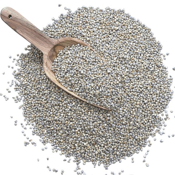 Green Millet from India supplied by Greenx Industries - Indian Pearl Millet - Desi (=Desi Bajra) Millet