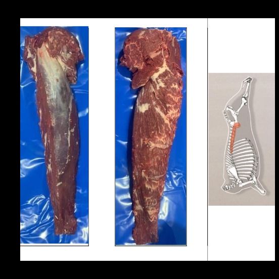 LOMO SIN CORDÓN / TENDERLOIN CHAIN OFF from Argentina supplied by Expandam - Boneless  (=Without Bone=Deboned) Fresh Boneless Beef