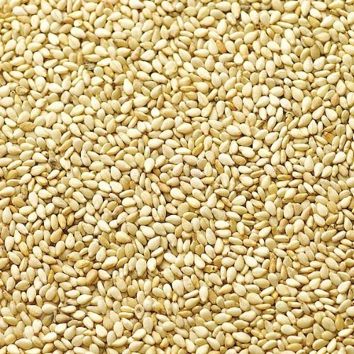 Sesame Seed from 파키스탄 supplied by Data Global Commodities - 혼합 품종 참깨