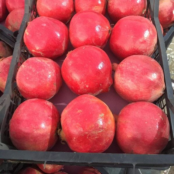 pomegranate from 이집트 supplied by Crest for agricultural development - Wonderful (=Qirmizi Qabiq Veles) 신선 석류