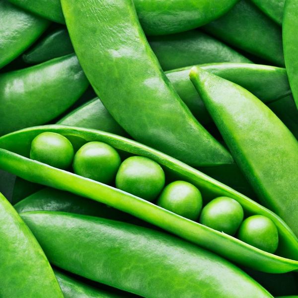 Green Peas from 인도 supplied by Liberty Exports - Excellent Quality Other Fresh Vegetables