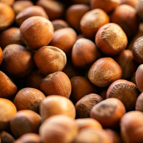 Hazelnut from United Arab Emirates supplied by Opes Terra - Raw Hazelnut