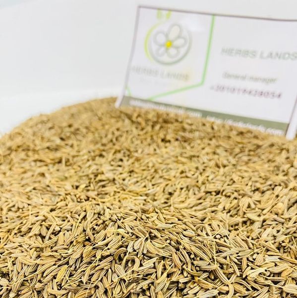 caraway from 이집트 supplied by herbslands - Unspecified 캐러웨이 씨