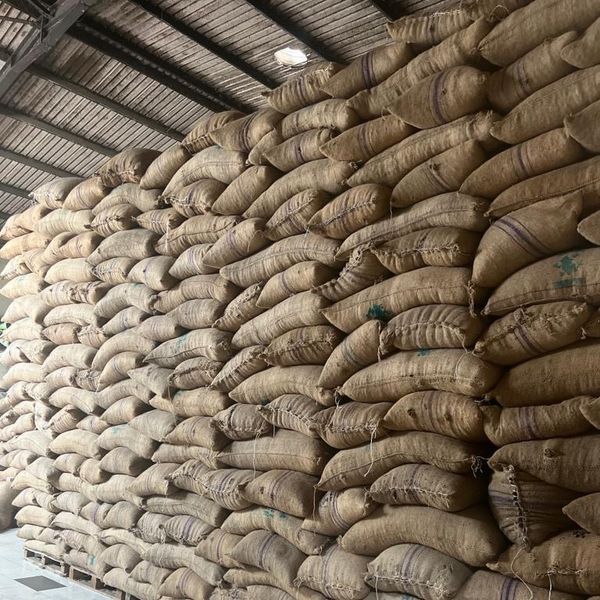 Cocoa bean, Cashew nut, Lithium from 나이지리아 supplied by Hamkulex Intercontinental Resources Nigeria Limited - Hybrid 코코아콩