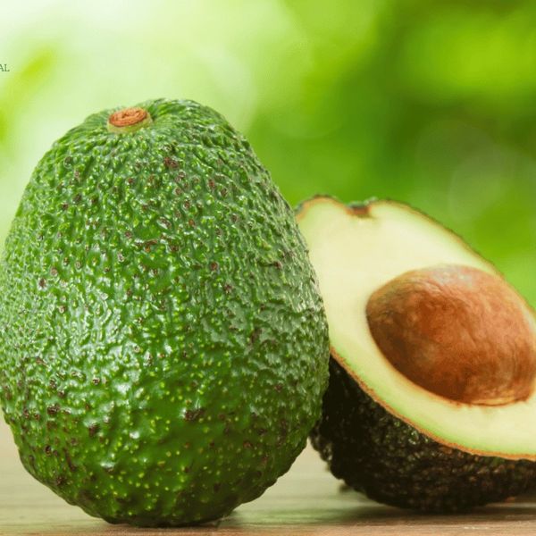 Avocado from 케냐 supplied by Premium Ethical Foods - 4kg 상자 신선 아보카도
