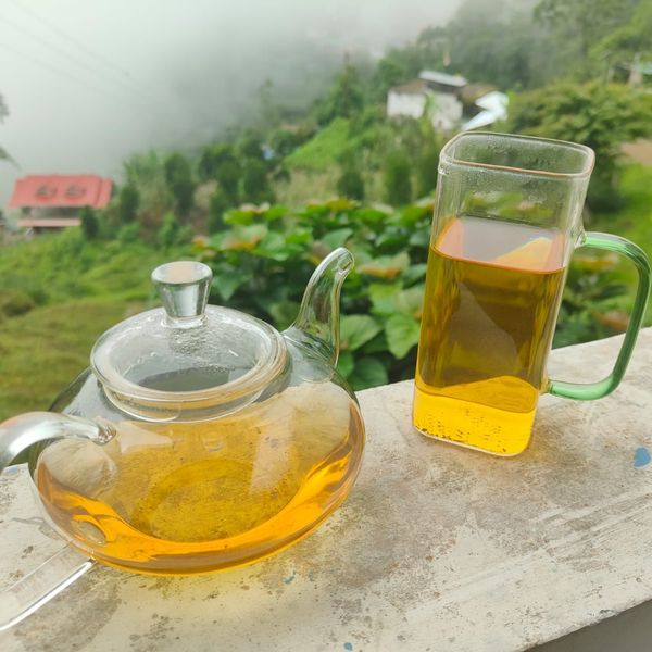 Darjeeling Smoked Tea from India supplied by INDOMOLD CONNECT (OPC) PRIVATE LIMITED - Black Bulk Black Tea