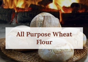 WHEAT FLOUR from 튀르키예 supplied by kavukcu flour mills - 소맥