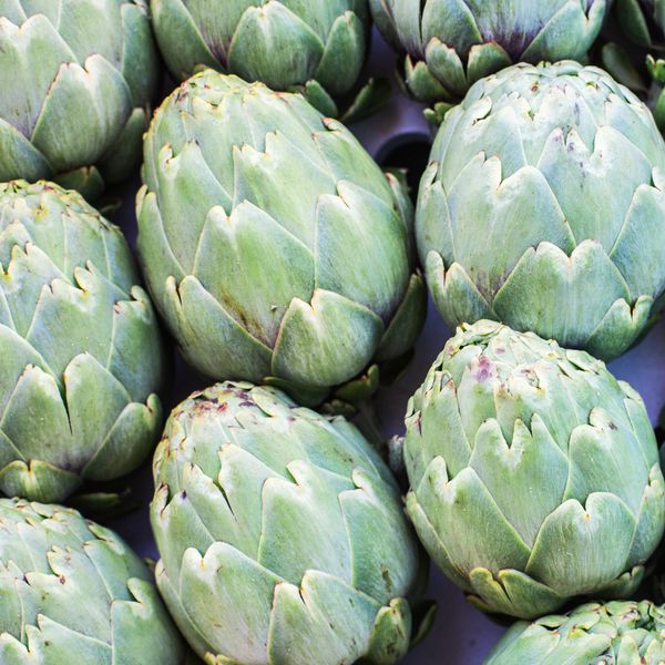 Fresh Artichoke - Egypt from 이집트 supplied by AMG FUTURE - 크기: 18pz 신선 아티초크