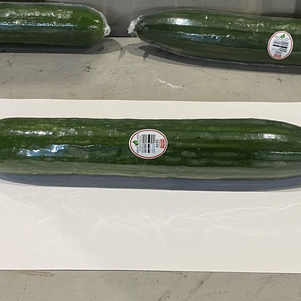 Long English Cucumber from 캐나다 supplied by Great Lakes Greenhouses - 잉글리시 오이 신선 오이