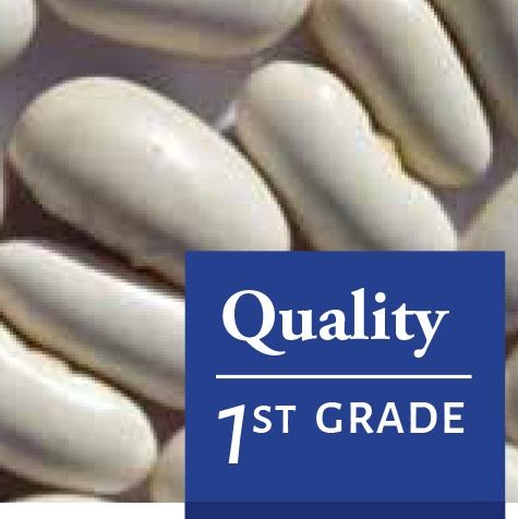 White Kidney Beans from 아르헨티나 supplied by QUELLE TRADE, import export d.o.o - 고품질 말린 강낭콩