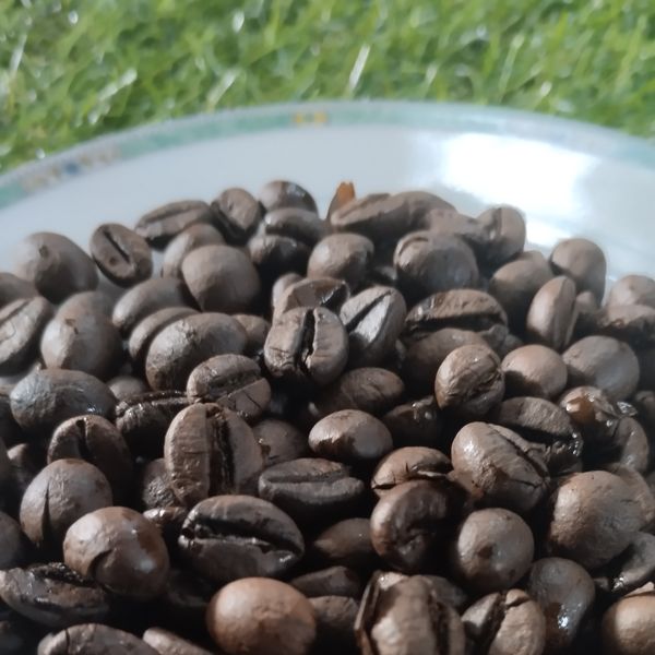 Luwak, Arabica and robustaroasted coffee beans from 인도네시아 supplied by PT. Cahyaning Bintang Agha - Dark Brown 볶은 원두