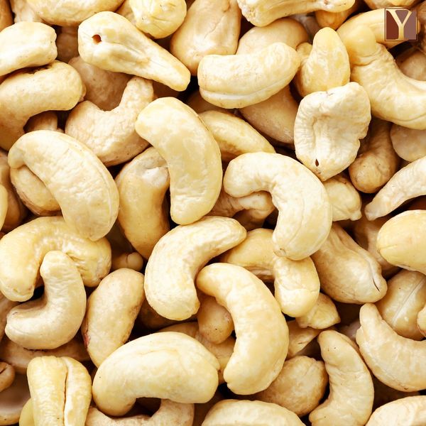 Whole Cashew Kernels – W180, W240, W320 (White, Non-GMO) from 가나 supplied by JP Yata Ltd - 캐슈너트 알맹이