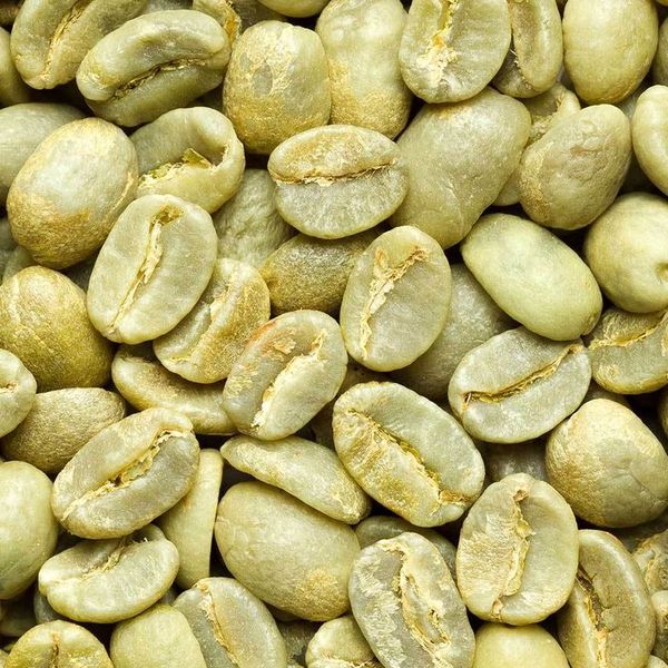Green Coffee Bean from 인도네시아 supplied by BARA KARYA TERUTAMA - 상급 품질 생원두