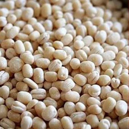 MYANMAR WHITE URAD DAL from 미얀마 [버마] supplied by Rosanna Company Limited - 흰색 말린 렌틸