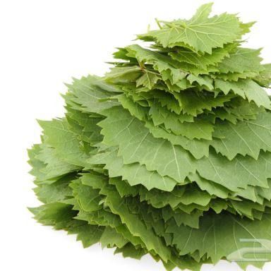 Frozen Grope Leaves from 이집트 supplied by ALDBERKY TREADING - Frozen 포도 나뭇잎