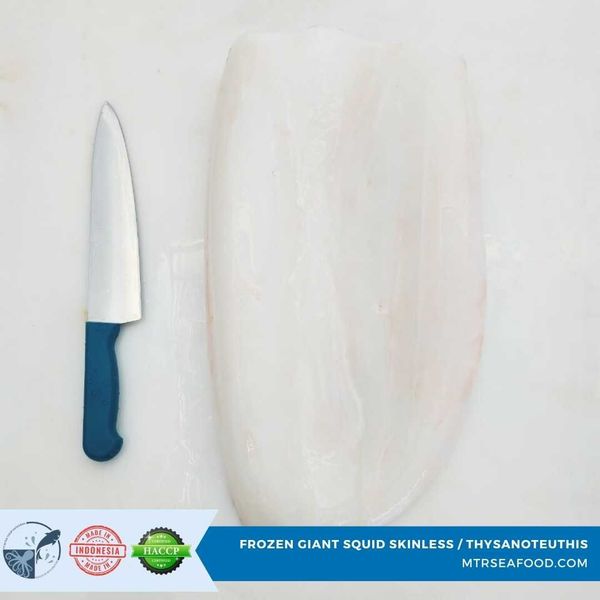 FROZEN GIANT SQUID / THYSANOTEUTHIS from 인도네시아 supplied by PT Mitra Timur Rayatama - 육지냉동 냉동 오징어