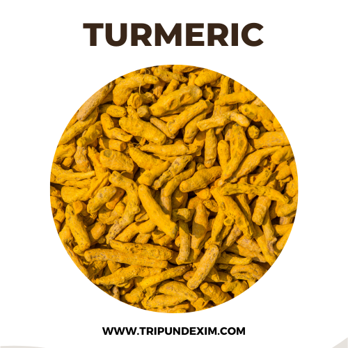 TURMERIC from 인도 supplied by TRIPUND EXPORTS - Yellow (=Light Yellow=Bright Yellow=Deep Yellow) 튜메릭