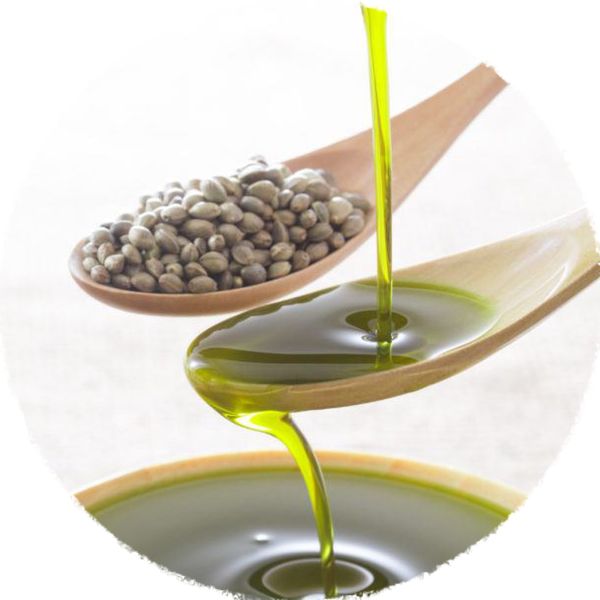 Hemp Seed Oil from 캐나다 supplied by NORTHERN NUTRACEUTICALS INC - Low Quality 대마씨 오일