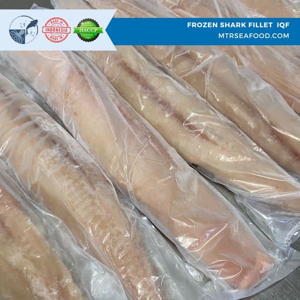 FROZEN SHARK FILLET from 인도네시아 supplied by PT Mitra Timur Rayatama - Starspotted Smooth-hound (=Mustelus manazo=Gummy Shark) 냉동 상어