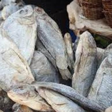 Dried Tilapia from 가나 supplied by PRIBOFO ENTERPRISE - Pond Dried Tilapia Fillet