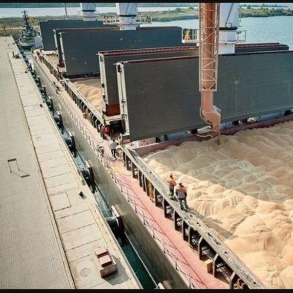 Milling Fheat protein 11.5-12.5 from Ukraine supplied by Grain Capital Agri UG - Protein: 10.5-12% Wheat