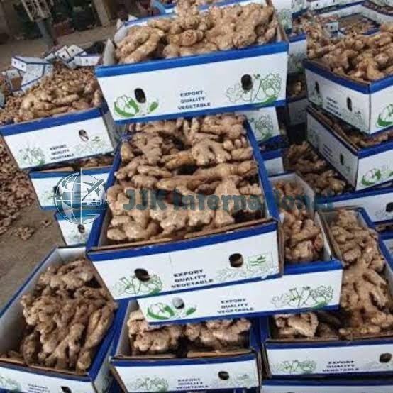 Fresh ginger from India supplied by M Y TRADERS - Raw Whole Ginger