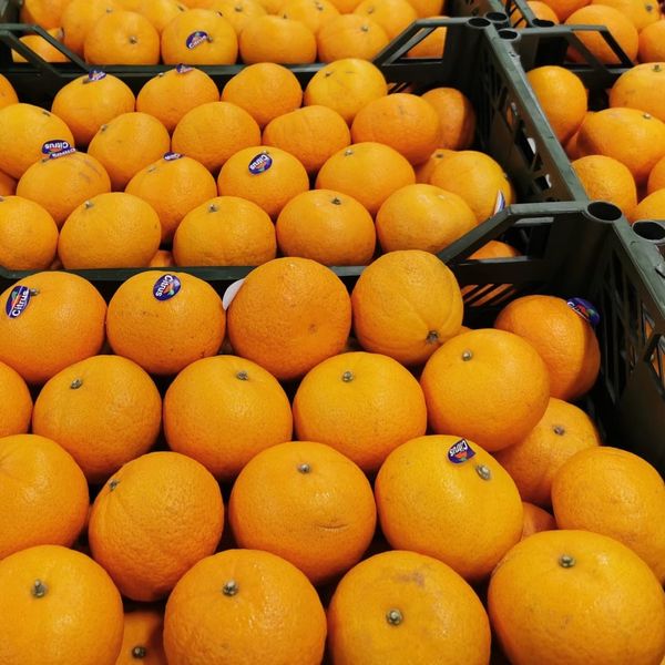 Mandarin from 폴란드 supplied by Domenica Sp ZOO - Tangerine - Murcott (=Honey Tangerine) 신선 만다린
