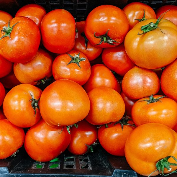 Fresh Tomato from Egypt supplied by AMG FUTURE - Loose Fresh Tomato