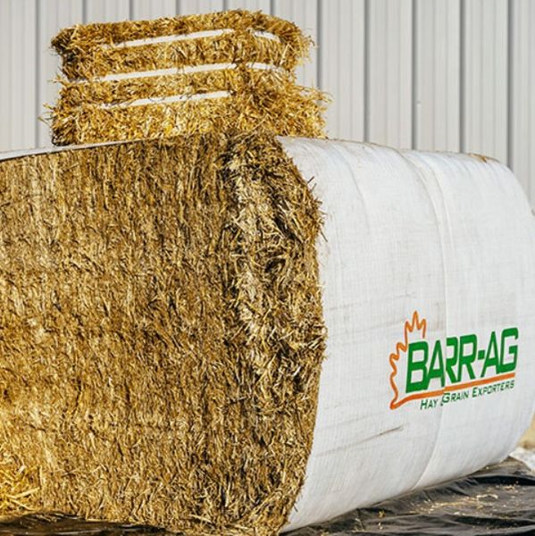 Straw from 캐나다 supplied by BARR-AG LTD - 밀짚