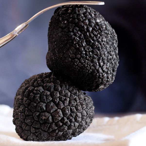Black truffle from 중국 supplied by Hubei jinyida trading co.,ltd - 30-65 mm 기타 신선 버섯류