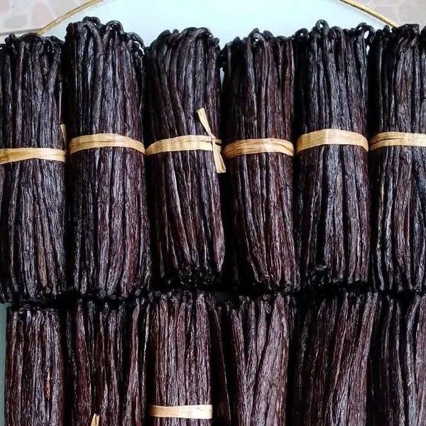 Vanilla Beans from 케냐 supplied by Vanilla Africa - U.S. Grade A 바닐라