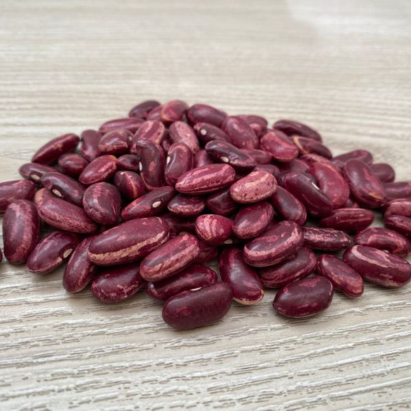 Red Speckled bean (Nima Calima Bean - Phaseolus spp.) from 콜롬비아 supplied by Radikal Food Club Inc - Farmed 말린 일반 콩