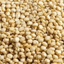 White Quinoa from India supplied by Opelion Global - Whole Quinoa