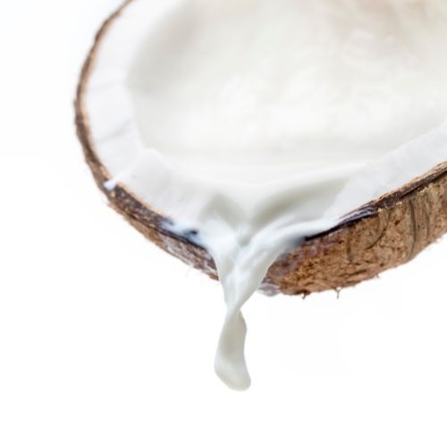 Coconut Milk and Cream from 스리랑카 supplied by Pantheon Ingredients, LLC - White 코코넛밀크