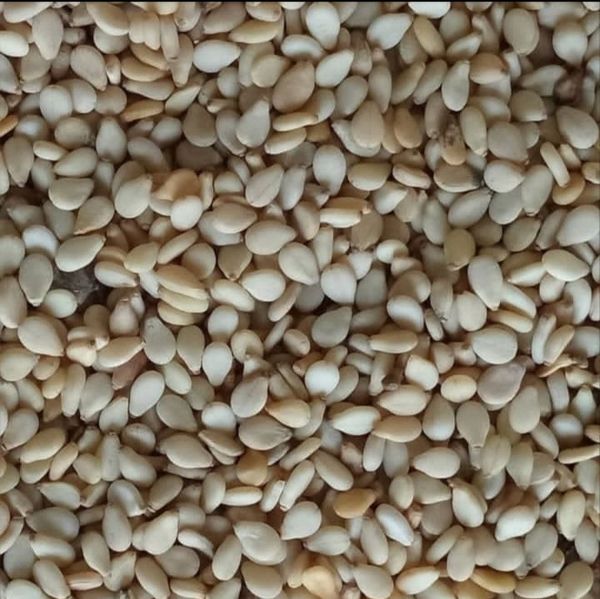 Sesame seed from Benin supplied by DK COMMODITY - Good Quality Sesame Seed