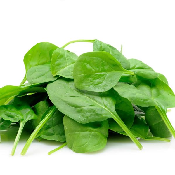 Egyptian Spinach from 이집트 supplied by PEI Trade - Fresh (=Chilled) 신선 시금치