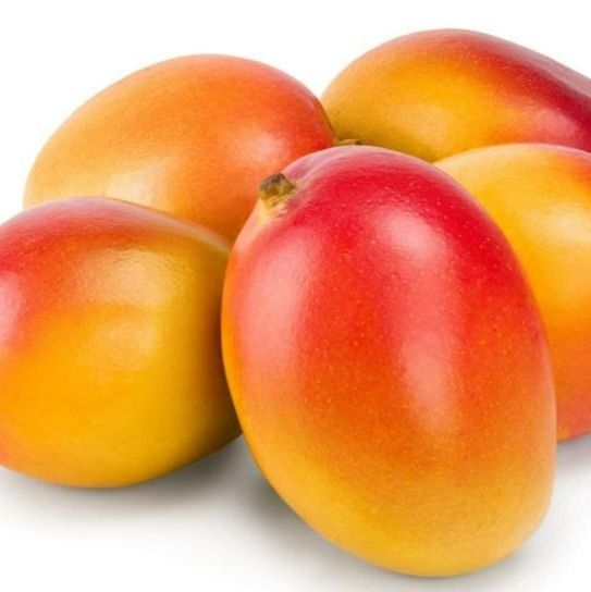 MERSİN MANGO from 튀르키예 supplied by Capadore - Farmed 신선 망고