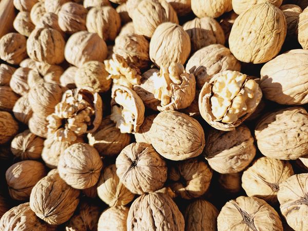 Walnuts - In Shell from 루마니아 supplied by Auto Logex - 우수 품질 생호두