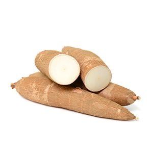CASSAVA, TARICASS 4 from 탄자니아 supplied by Mobifarm Africa Limited - Pellet 카사바