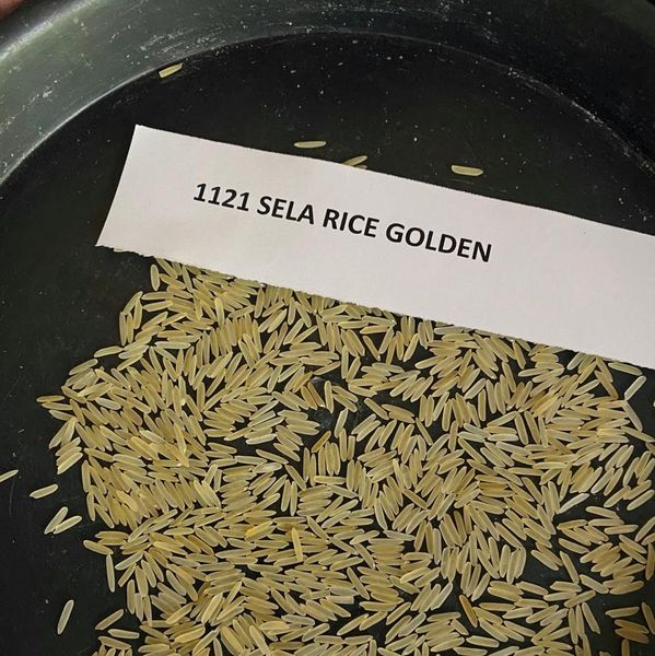 Basmati 1121 sella & Non-Basmati rice from Pakistan supplied by Hashmi Enterprise - Thin Rice