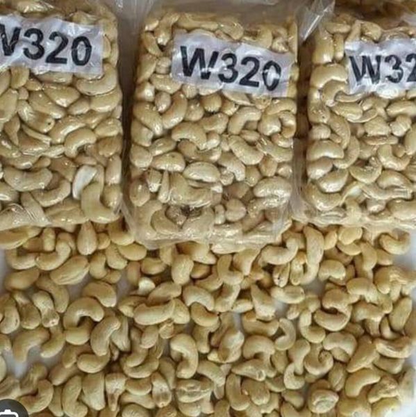 Cashew Nuts from 코트디부아르 supplied by Kodra-Export - 22.68 kg 캐슈너트 알맹이